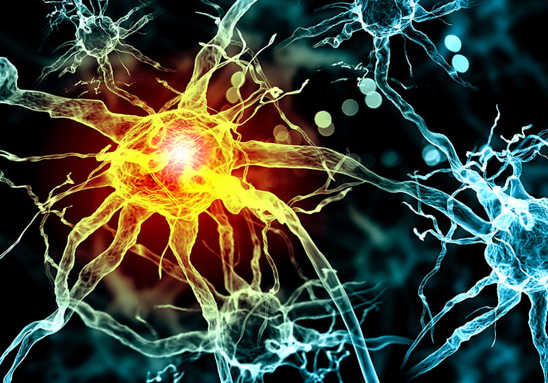 Neuropathy_203E08863800pix